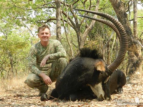 Sable Hunting in Zambia | AfricaHunting.com