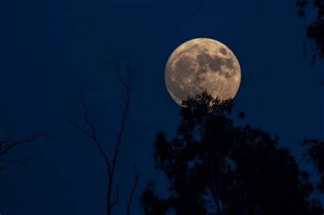 SUPER BLUE MOON 2023: WHAT IT IS AND HOW TO SEE THE CELESTIAL EVENT