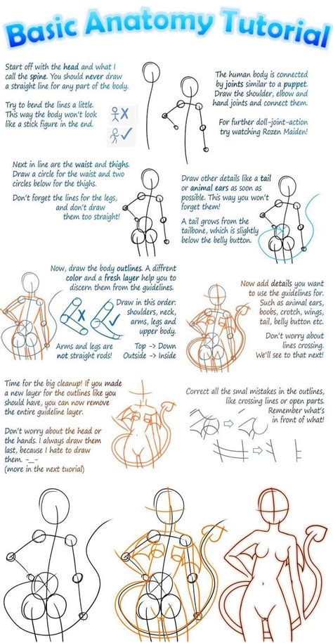 Basic Manga Anatomy Tutorial | Drawing Referenc...