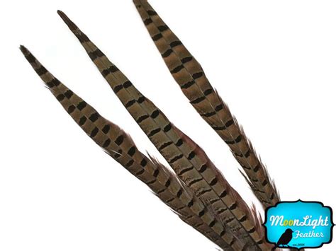 Pheasant Tail Feathers10 Pieces 18-20 NATURAL LONG - Etsy