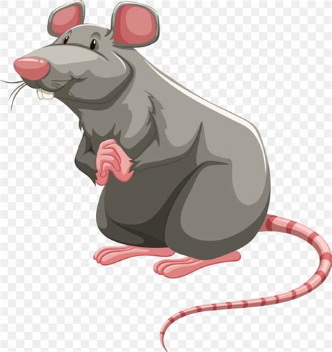 Laboratory Rat Brown Rat Rodent Clip Art, PNG, 3563x3782px, Laboratory ...