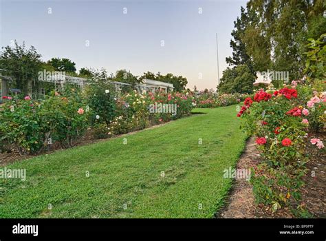 Beautiful rose garden huntington library hi-res stock photography and ...