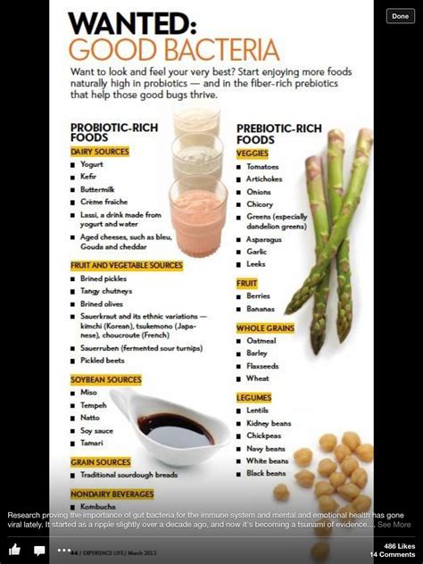 Best 25+ Foods with probiotics ideas on Pinterest | Gut health foods ...