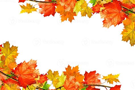 autumn leaves isolated on white background. 10022221 Stock Photo at ...