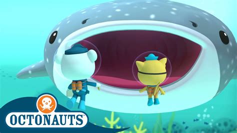 Octonauts - The Whale Shark | Full Episode 10 | Cartoons for Kids ...