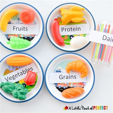 Science for Kids: Learning about the 5 Food Groups + Printable - A ...