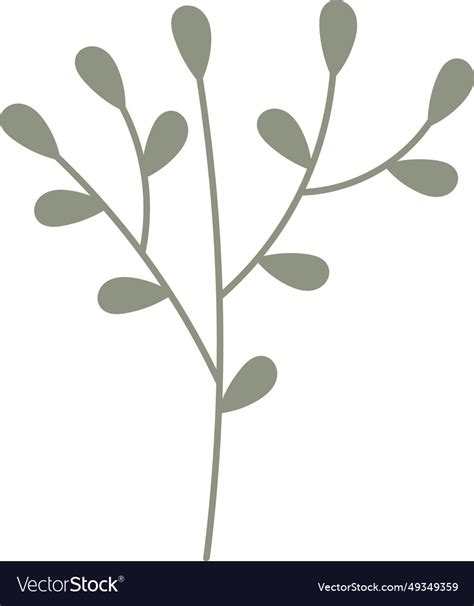 Floral branch with leaves Royalty Free Vector Image