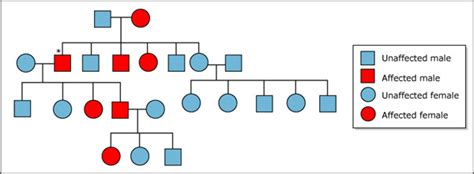 Genetics | Fundamentals of Biology | Biology | MIT OpenCourseWare