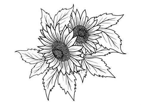 Premium Vector | Flower Line Art Black and White