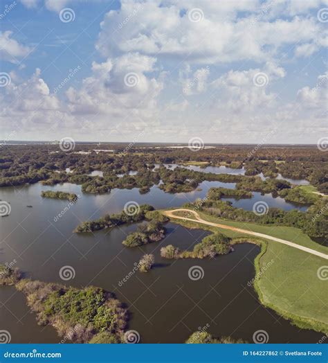 Aerial View of Florida Wetlands Stock Photo - Image of outdoors, creek ...