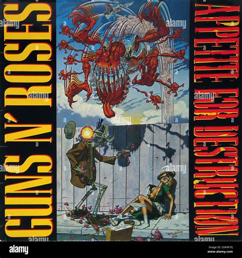 Guns n' Roses Appetite for Destruction - Vintage Vinyl Record Cover ...