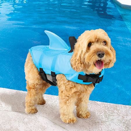 Sea Squirts Shark Fin Inspired Dog Jacket | Gadgetsin