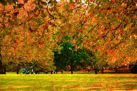 Green Park autumn London Photograph by David French