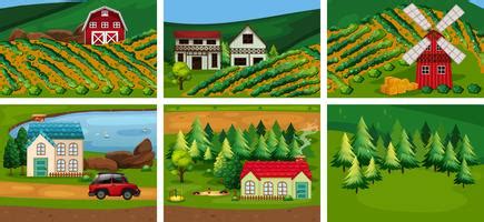 Rural And Urban Settlements Clipart Flowers