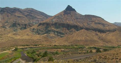 Oregon Experience | The Scientific Significance of The John Day Fossil ...