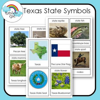 Texas State Symbol Cards by Rainbow Girl | Teachers Pay Teachers