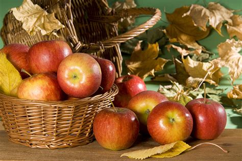 Fonds d'ecran Automne Pommes Panier en osier Feuillage Nourriture télécharger photo