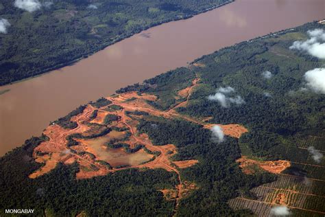 Indonesia’s bid to control deforestation wildly off-target, experts say