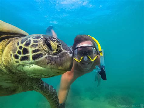 Whitehaven Beach & Snorkelling - Whitsunday Outdoor Adventures & Hire