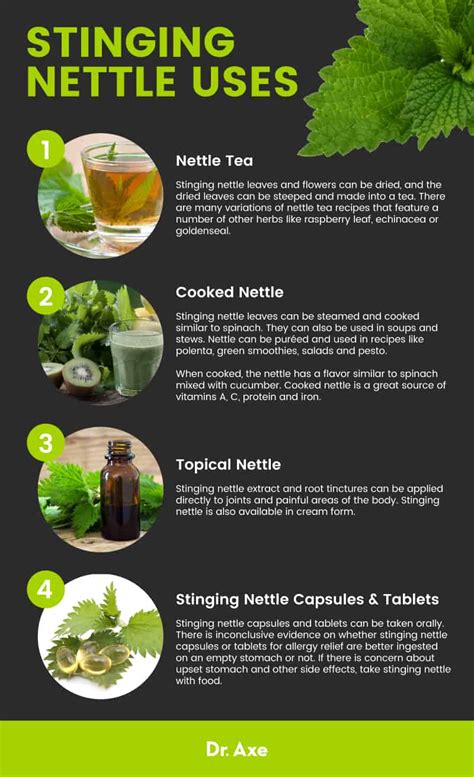 5 Proven, Remarkable Stinging Nettle Benefits