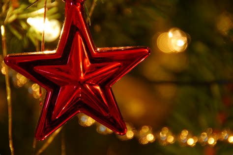 40 Best Christmas Star Decorations - All About Christmas