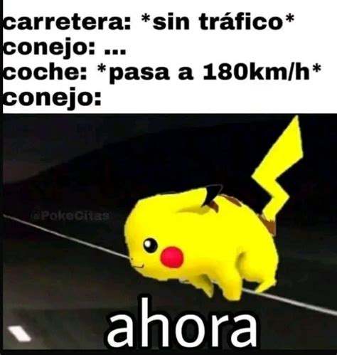 Top memes de Conejos en español :) Memedroid