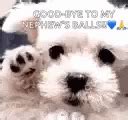 Good Bye Dog GIF - GoodBye Bye Dog - Discover & Share GIFs