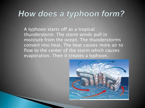 PPT - Typhoon Project PowerPoint Presentation - ID:2601786