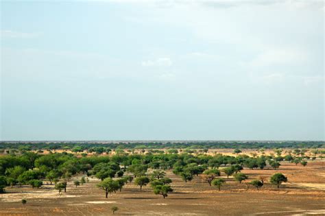 Waza National Park (Official GANP Park Page)