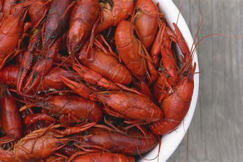 This year’s crawfish some of the largest, most flavorful in recent years