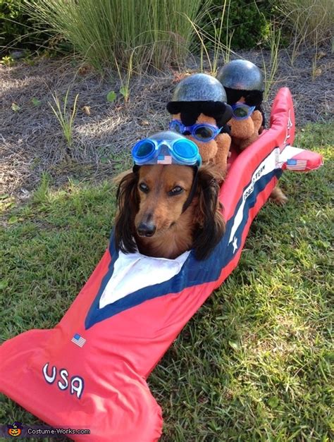 American Bobsled Team - Costume Idea for Dogs | Mind Blowing DIY Costumes