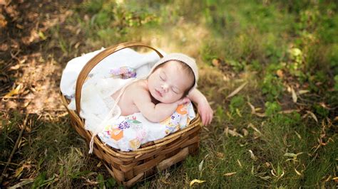 baby baskets Wallpapers HD / Desktop and Mobile Backgrounds