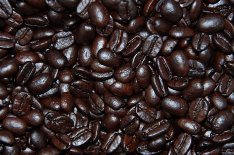 Whole Bean - Extra Fancy Medium-Dark Roast - 16oz | 100% Kona Coffee