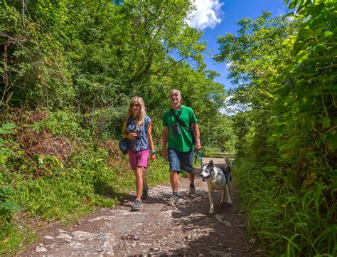 Dog-friendly beaches on the Wales Coast Path | Visit Wales