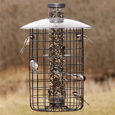 Droll Yankees® Squirrel-Proof Caged Sunflower Bird Feeder, 2.5 lb capa – More Birds