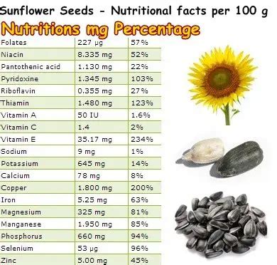 Properties and Benefits of Sunflower Seeds - NatureWord