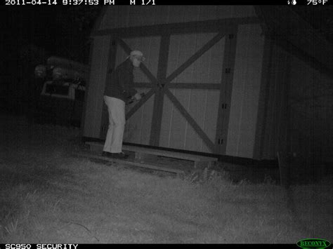 Trailcam Selection Guide - Security Trail Cameras