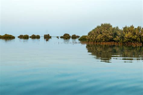 Best Places to Visit in Umm Al Quwain