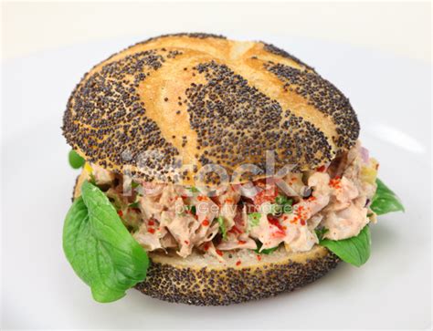 Tuna Salad Sandwich Stock Photo | Royalty-Free | FreeImages