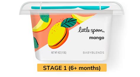 Mango Baby Food | Organic Mango Puree For Your Baby