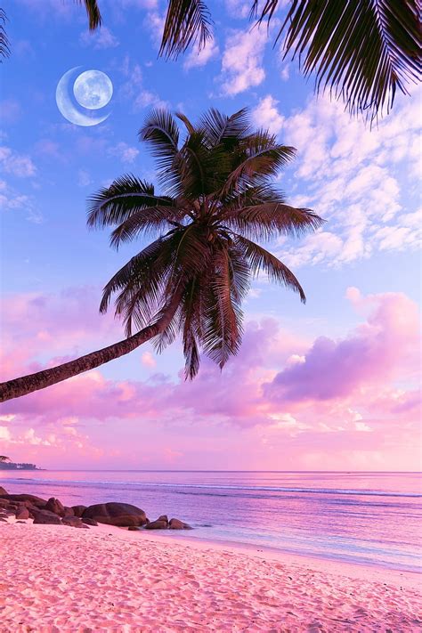 Share more than 86 tropical aesthetic beach wallpapers - in.coedo.com.vn