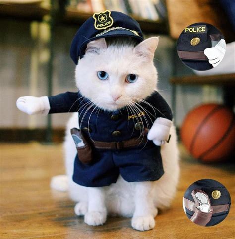 Silly Cats in Halloween Costumes [Slideshow]