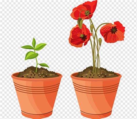 Flower Pot Pictures Clipart | Best Flower Site