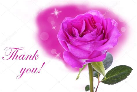 Pink Rose with Thank You Stock Photo by ©Nelosa 38730207