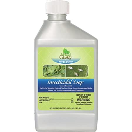 Insecticidal Soap Concentrate 16 oz | Plants Plus