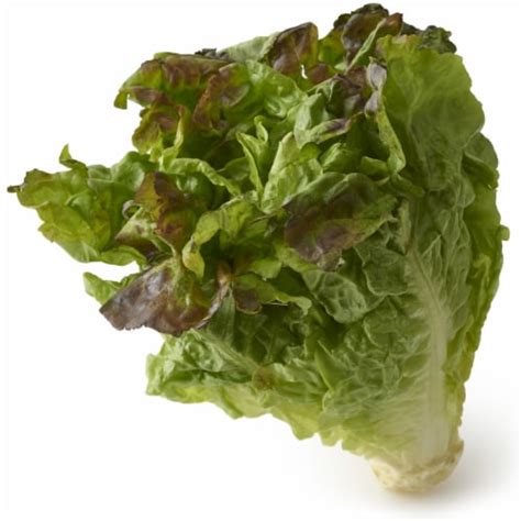 Organic Red Leaf Lettuce, 1 ct - Ralphs