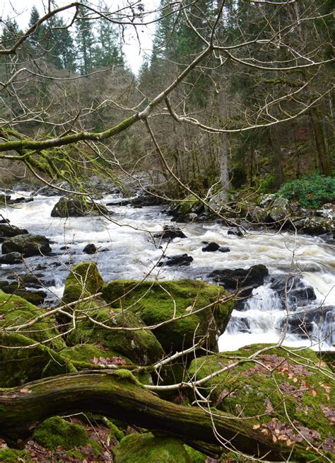 Tour Scotland: Tour Scotland Video Photographs Storm Damage Hermitage Walk Dunkeld Perthshire ...