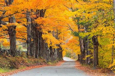 Leaf Peeping for Newbies | A Beginner's Guide to Experiencing Fall in New England - New England