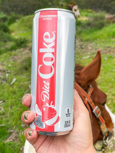 New Year, New Flavors from Diet Coke - Horses & Heels