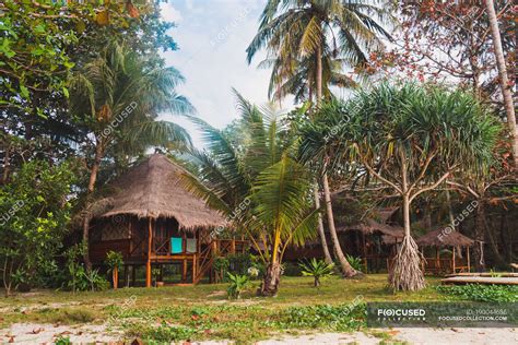 Exterior of tropical huts at jungle meadow — home, wood - Stock Photo | #190044686